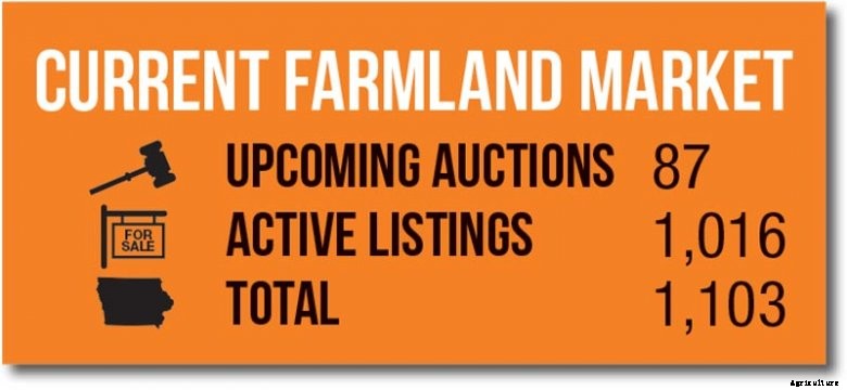 current-farmland-market